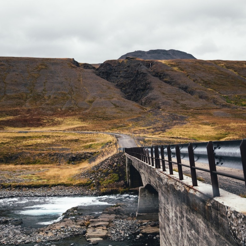 Meet your Posher, Adelaide